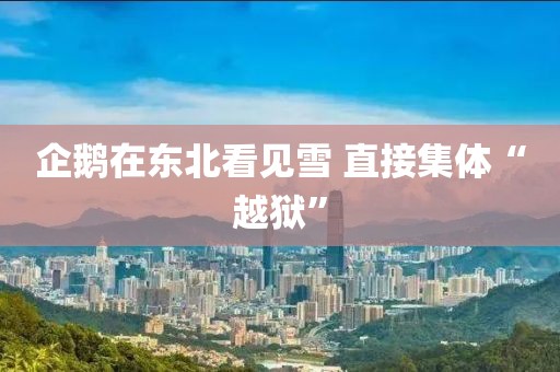 企鹅在东北看见雪 直接集体“越狱”