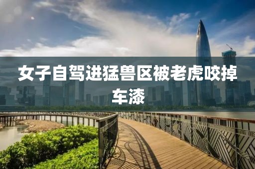 女子自驾进猛兽区被老虎咬掉车漆