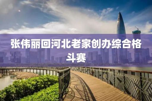 张伟丽回河北老家创办综合格斗赛