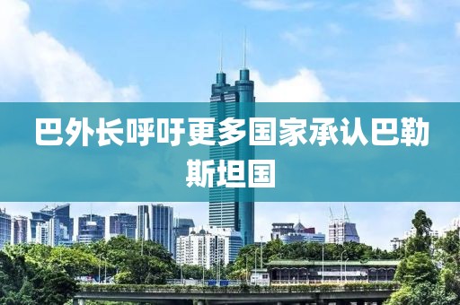 巴外长呼吁更多国家承认巴勒斯坦国
