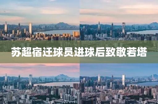 苏超宿迁球员进球后致敬若塔