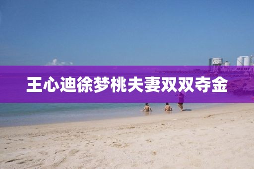 王心迪徐梦桃夫妻双双夺金