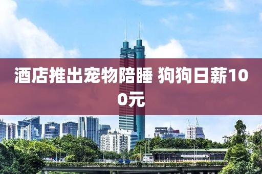 酒店推出宠物陪睡 狗狗日薪100元