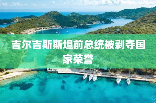 吉尔吉斯斯坦前总统被剥夺国家荣誉