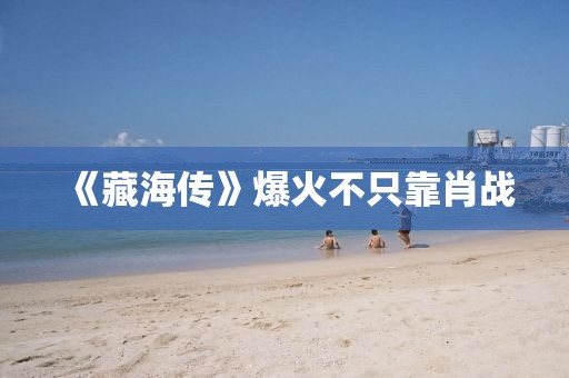 《藏海传》爆火不只靠肖战