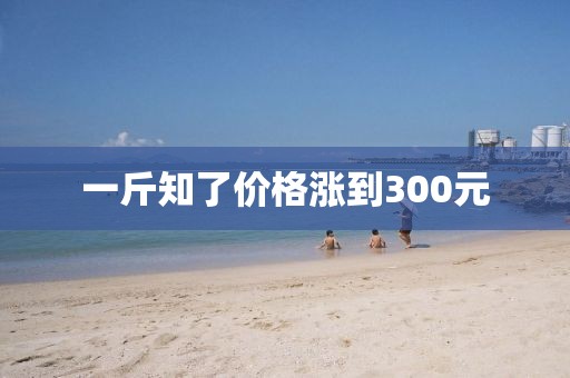 一斤知了价格涨到300元