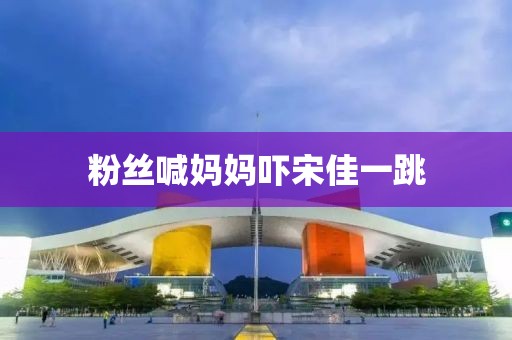 粉丝喊妈妈吓宋佳一跳