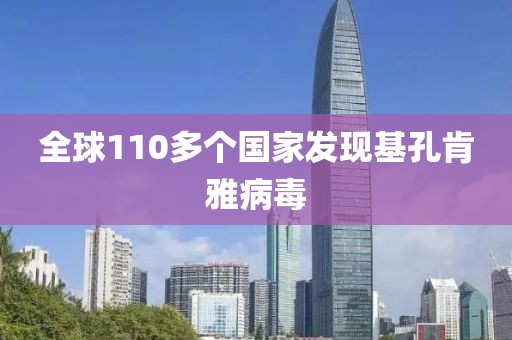 全球110多个国家发现基孔肯雅病毒