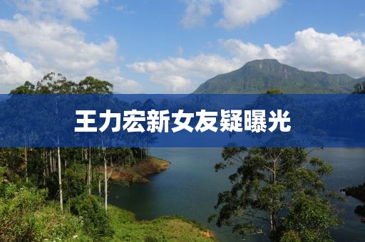 王力宏新女友疑曝光