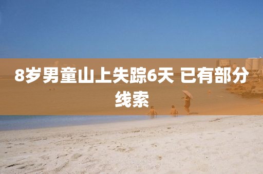 8岁男童山上失踪6天 已有部分线索