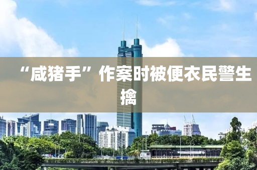 “咸猪手”作案时被便衣民警生擒