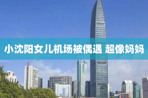 小沈阳女儿机场被偶遇 超像妈妈