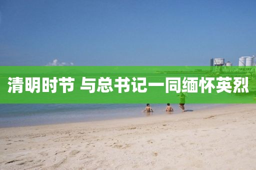 清明时节 与总书记一同缅怀英烈