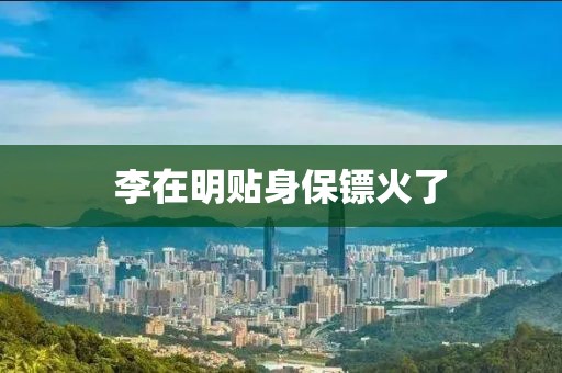 李在明贴身保镖火了