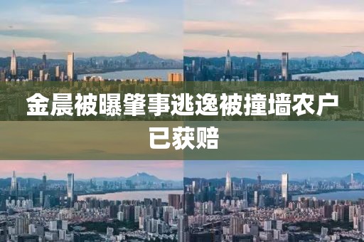 金晨被曝肇事逃逸被撞墙农户已获赔