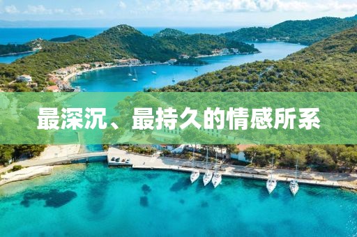 最深沉、最持久的情感所系