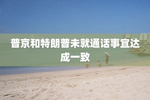 普京和特朗普未就通话事宜达成一致