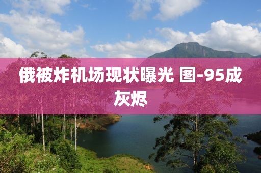 俄被炸机场现状曝光 图-95成灰烬