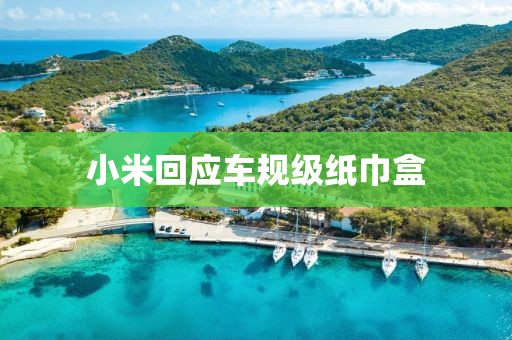 小米回应车规级纸巾盒