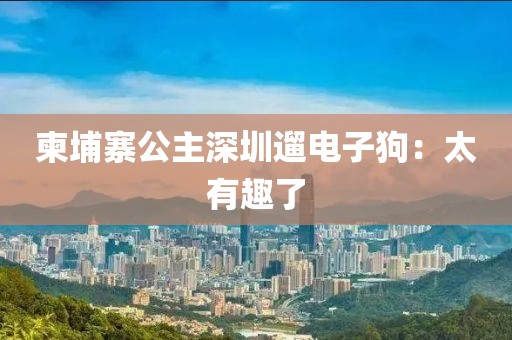 柬埔寨公主深圳遛电子狗：太有趣了