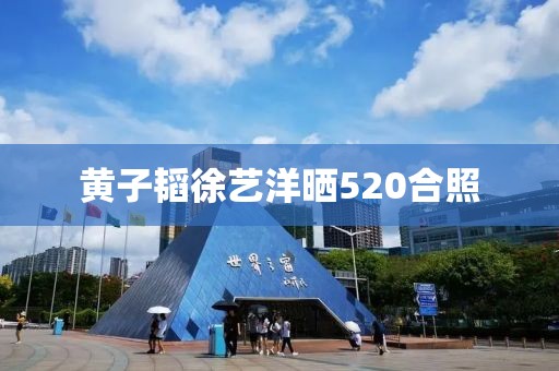 黄子韬徐艺洋晒520合照