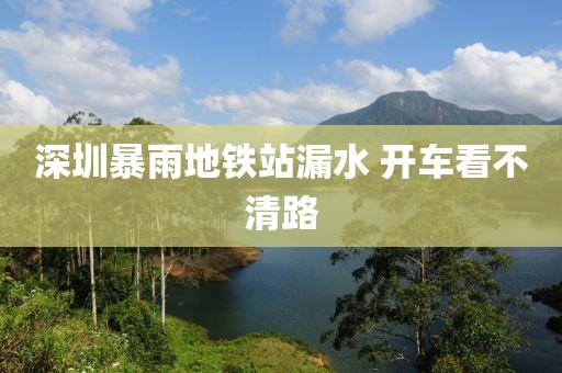深圳暴雨地铁站漏水 开车看不清路