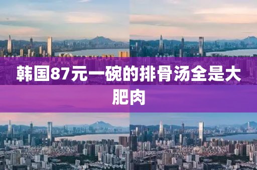 韩国87元一碗的排骨汤全是大肥肉