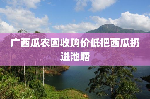 广西瓜农因收购价低把西瓜扔进池塘