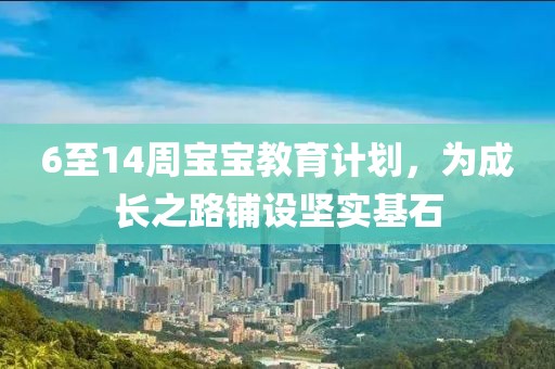 计划软件API接口调用难度对比