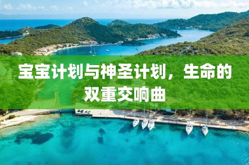 如何在繁忙工作中保持高效？使用这些计划软件！