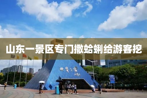 山东一景区专门撒蛤蜊给游客挖