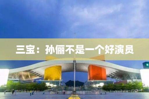 三宝：孙俪不是一个好演员