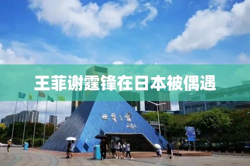 王菲谢霆锋在日本被偶遇