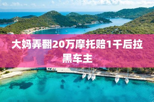 大妈弄翻20万摩托赔1千后拉黑车主