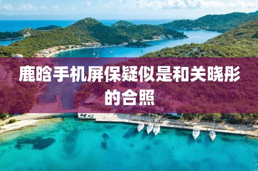 鹿晗手机屏保疑似是和关晓彤的合照