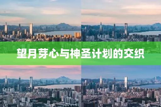 山西省长任上被查 2天前还主持会议