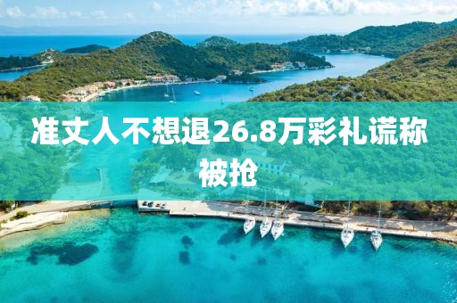 准丈人不想退26.8万彩礼谎称被抢