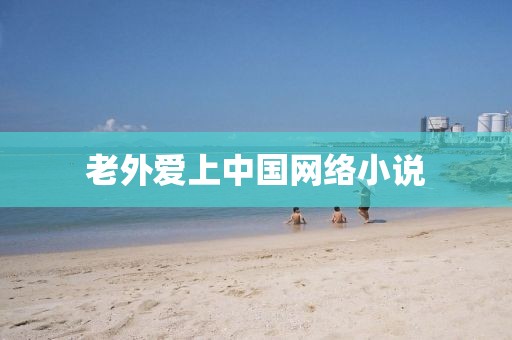 老外爱上中国网络小说