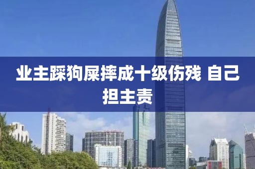 业主踩狗屎摔成十级伤残 自己担主责