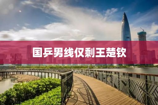 国乒男线仅剩王楚钦