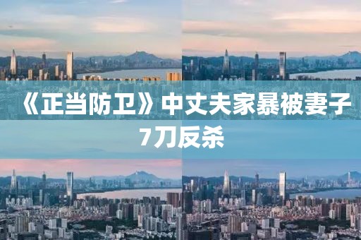 《正当防卫》中丈夫家暴被妻子7刀反杀
