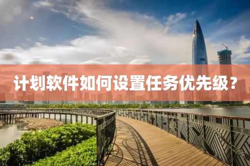 计划软件如何设置任务优先级？