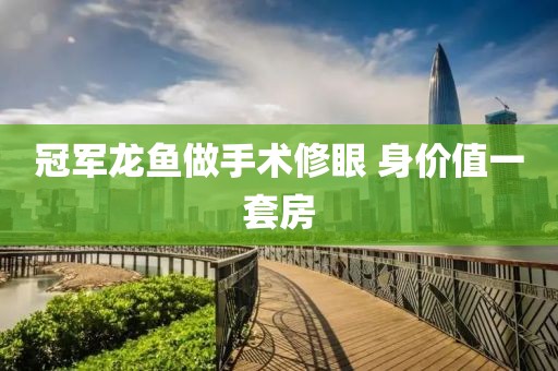 冠军龙鱼做手术修眼 身价值一套房