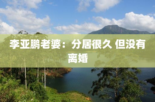 李亚鹏老婆：分居很久 但没有离婚