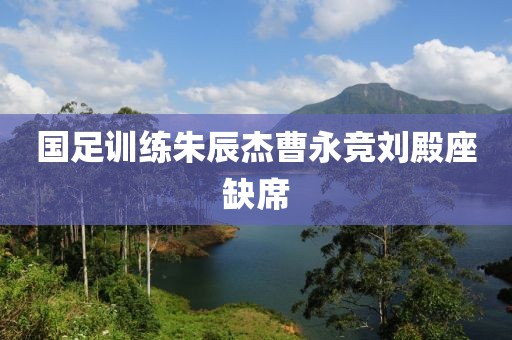 国足训练朱辰杰曹永竞刘殿座缺席