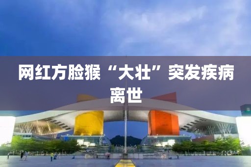 网红方脸猴“大壮”突发疾病离世