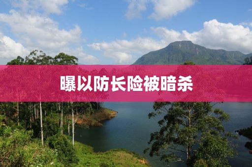 曝以防长险被暗杀