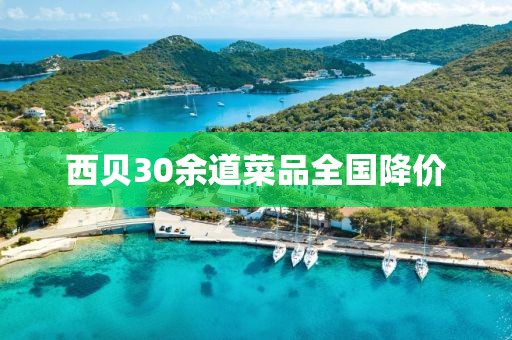 西贝30余道菜品全国降价