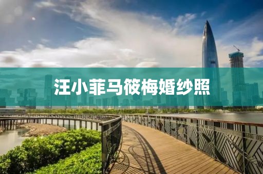 汪小菲马筱梅婚纱照