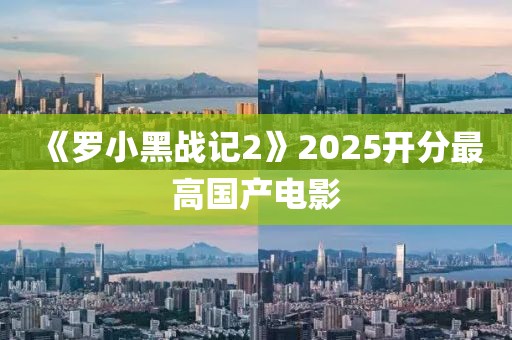 《罗小黑战记2》2025开分最高国产电影